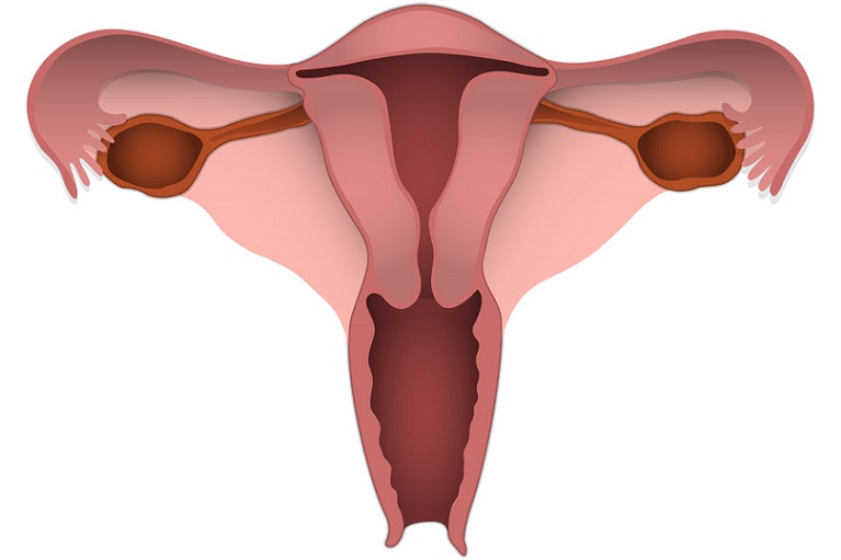 子宮 頸管 ポリープ